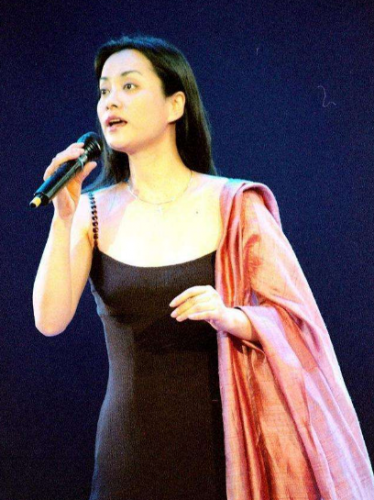 毛阿敏个人简历(毛阿敏经典歌曲)插图21