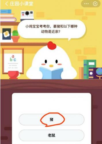 豪猪和什么是近亲(养30只豪猪投资多少)插图