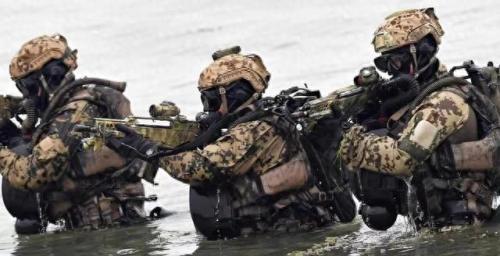 特种兵队伍排名前十(全国特种兵大全)插图5