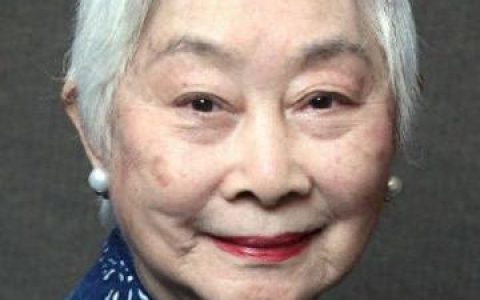 著名美籍华人美女排名前十(海外十大美女排行)