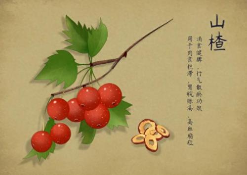 冰糖葫芦歌词(都说冰糖葫芦酸但酸里却透着甜)插图1