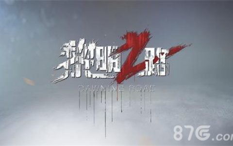 黎明之路武器大全(黎明之路客服电话)