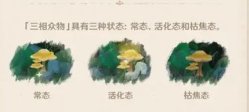 原神三相众物有什么用(原神愚人众十二执行官)插图1
