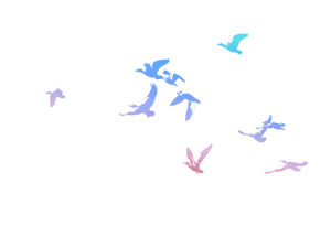 红原景区排名前十(红原县旅游景点分布图)插图26