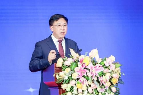 桐城排名前十企业(桐城在安徽排名怎么样)插图4