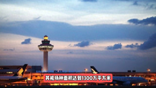 全球占地面积前十机场排名(海口美兰机场全球排名)插图