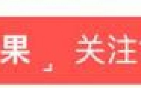 最快的两辆车排名前十(什么车跑婚庆回本最快)