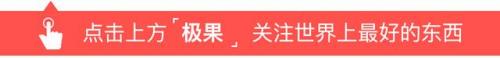 最快的两辆车排名前十(什么车跑婚庆回本最快)插图