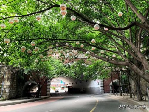 富顺快餐排名前十(富顺快餐排名)插图17