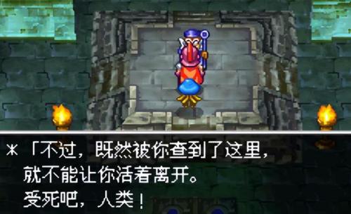 勇者斗恶龙9图文全攻略(勇者斗恶龙9全攻略)插图18
