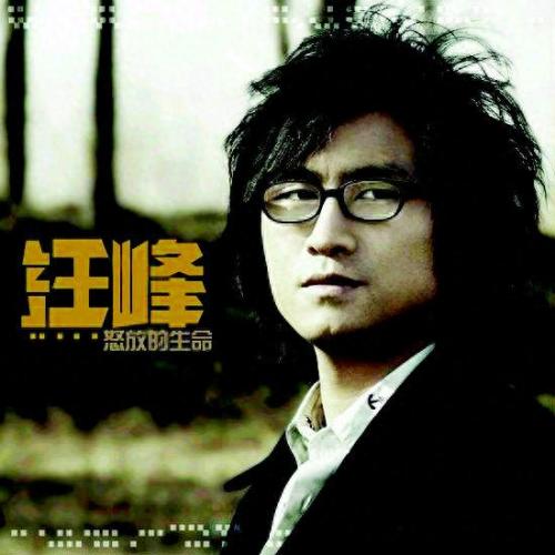 汪峰有哪些好听的歌(汪峰的歌都是哪些)插图3