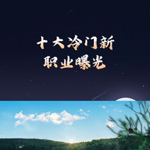 小众行业名录排名前十(目前的小众行业)插图1