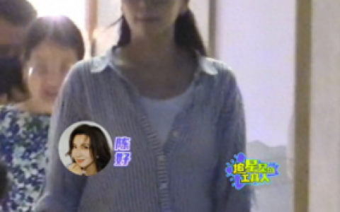 陈好老公刘海峰(刘海峰与前妻王海燕照片)
