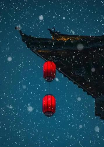 九百九十九朵玫瑰歌词(九百九十九朵玫瑰原唱)插图