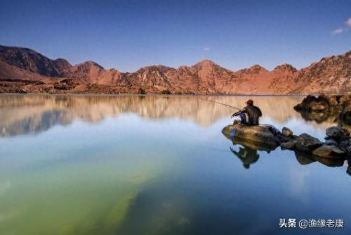 排名前十鲫鱼饵(夏天鲫鱼上浮不吃饵怎么解决)插图