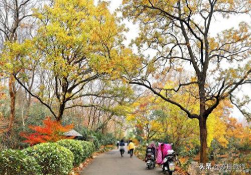 安徽旅游排名前十(安徽最漂亮的三个古镇)插图17