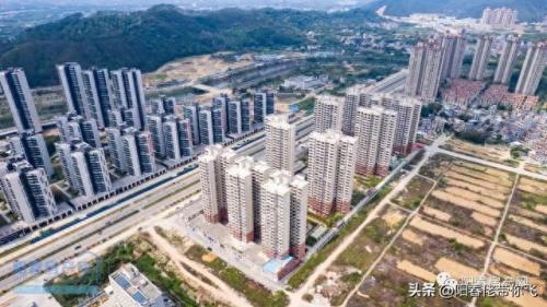 阳春别墅排名前十(金玥湾在阳春的排名)插图11