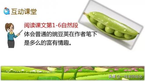 豌怎么组词-(豌可以怎么组词语)插图18