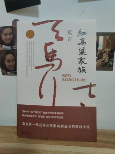 莫言哪本书最好看(莫言文章摘抄100字)插图4