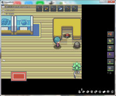 pokemmo关都攻略(pokemmo)插图42