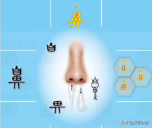 望其项背的近义词(望其项背什么意思)插图20