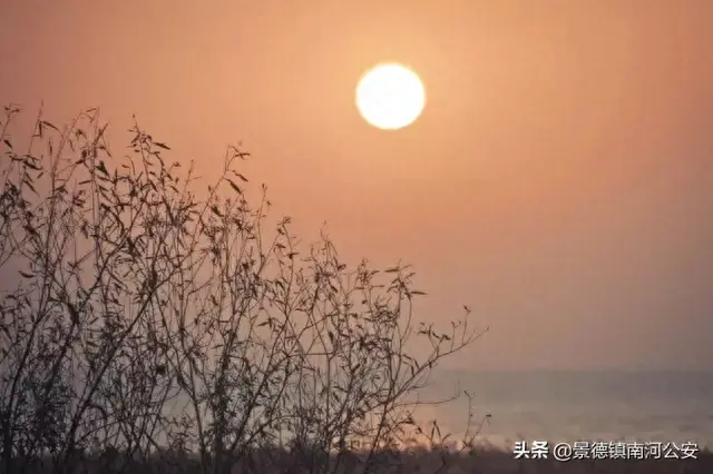 飞花轻寒李白(飞花轻寒古诗)插图3