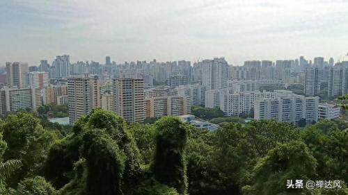 新加坡小山排名前十(新加坡排名前十)插图7