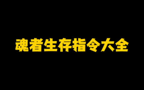 我的世界代码大全(我的世界代码大全可复制免费)