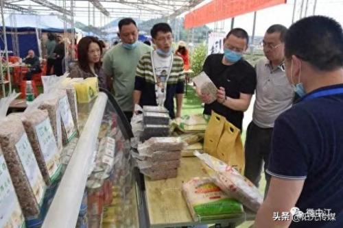 绵竹餐饮排名前十(绵竹喜哆哆餐饮)插图7