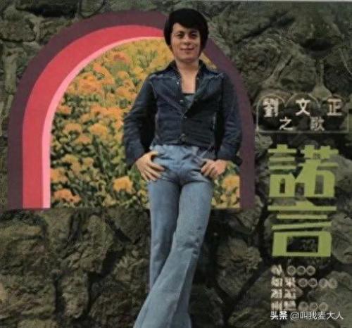 刘文正费翔(刘文正经典老歌)插图3