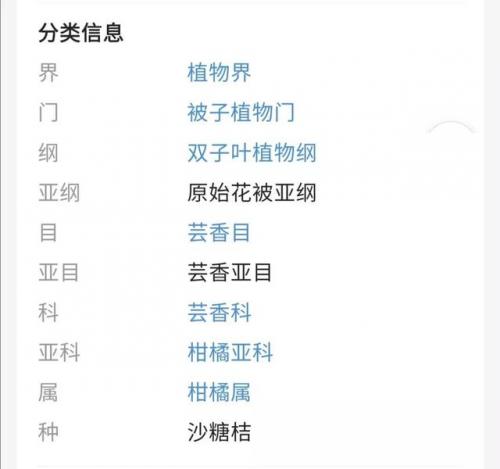 炫砂糖橘什么意思(砂糖橘是什么意思网络用语)插图1