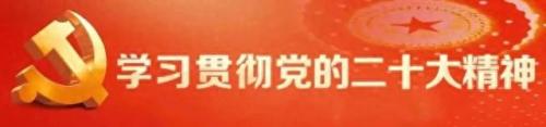 平安 好声音(平安参加中国好声音第一季)插图1