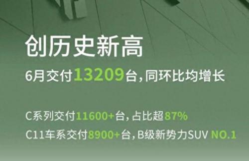 中国市场电动汽车排名前十(电车排名前十名)插图9