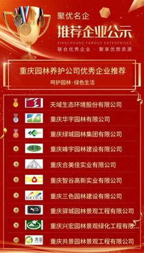重庆三色布厂家排名前十(深圳三色布品牌排行榜)插图1