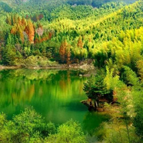 信阳景点排名前十(信阳十大茶园排名)插图10
