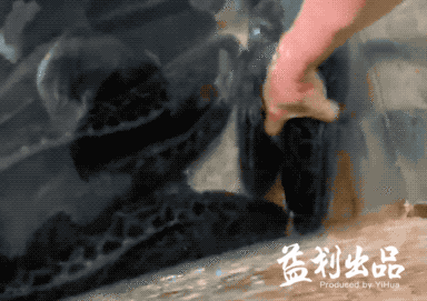 四川鲜鱼火锅加盟排名前十(成都蜀滋香鲜鱼火锅黄金路店)插图11