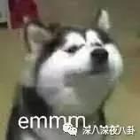李晨约炮(npc李晨)插图41