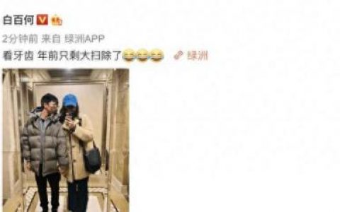 白百合的儿子多大了(张思麟比白百何大几岁)