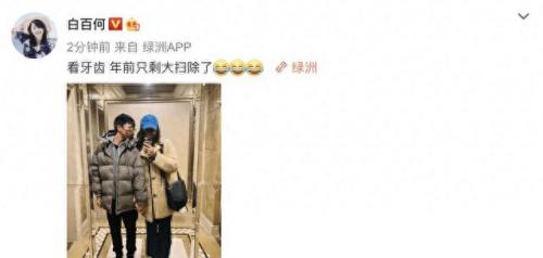 白百合的儿子多大了(张思麟比白百何大几岁)插图