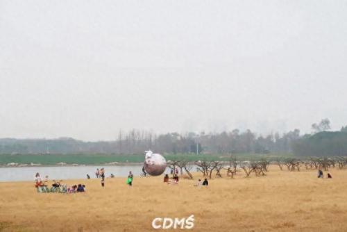 成都十陵镇小吃排名前十(成都十大排名小吃)插图68