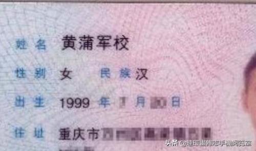 搞笑网络名字(搞笑wifi名字)插图10