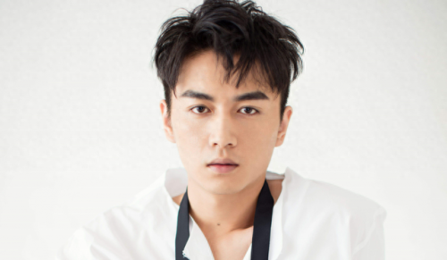 中国排名前十帅男(中国最帅的男人前10名)插图3
