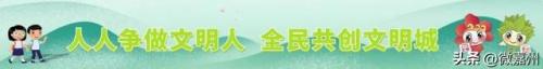 排名前十个(前20名排名)插图1