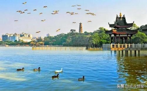 惠州好玩街区排名前十(惠州33号青年街区)插图10