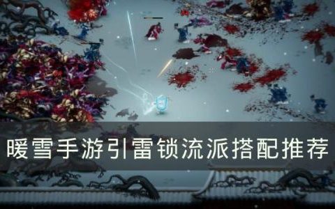暖雪手游引雷锁适合的流派有哪些(暖雪血灵芝玩什么流派)