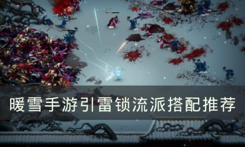 暖雪手游引雷锁适合的流派有哪些(暖雪血灵芝玩什么流派)插图