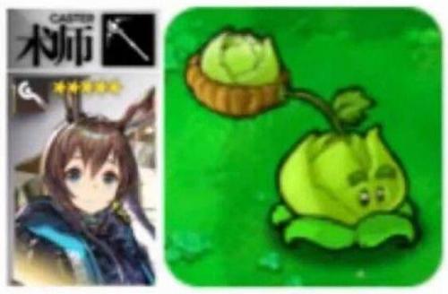 植物大战僵尸怎么玩(无尽版最佳布阵)插图5
