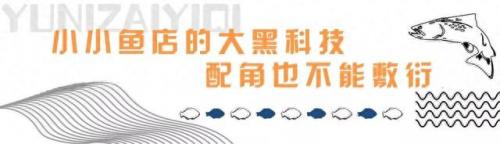 十堰新饭店排名前十(十堰最好的酒楼排名)插图26