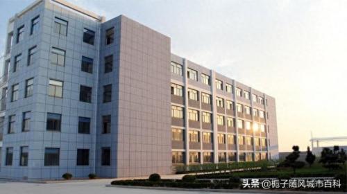 文登中学排名前十(山东省文登第一中学)插图