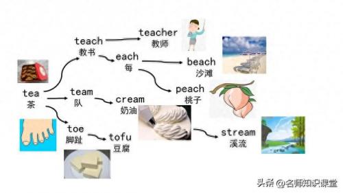 词根漫画联想快速记忆手册(252个基本词根顺口溜)插图17